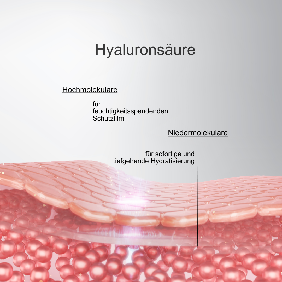 Hyaluronic Starter Set